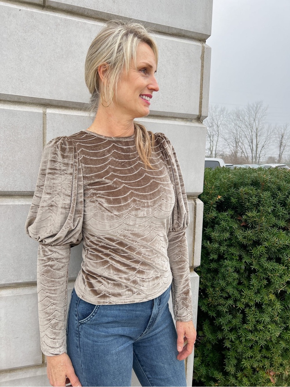 THML Taupe Velvet Puff Balloon Sleeve Blouse Top